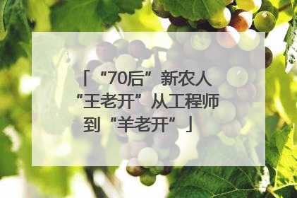 “70后”新农人“王老开”从工程师到“羊老开”