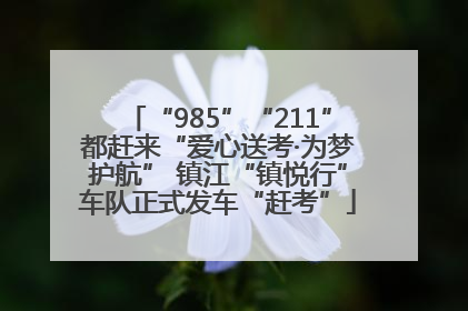 “985”“211”都赶来“爱心送考·为梦护航” 镇江“镇悦行”车队正式发车“赶考”