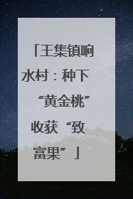 王集镇响水村：种下“黄金桃” 收获“致富果”