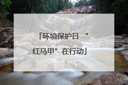 环境保护日 “红马甲”在行动