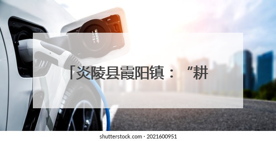 炎陵县霞阳镇：“耕”新聚力护粮仓 筑牢粮食安全“压舱石”