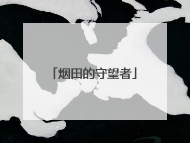 烟田的守望者