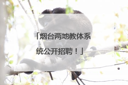 烟台两地教体系统公开招聘！