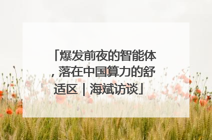 爆发前夜的智能体，落在中国算力的舒适区｜海斌访谈