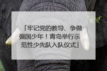 牢记党的教导、争做强国少年！青岛举行示范性少先队入队仪式