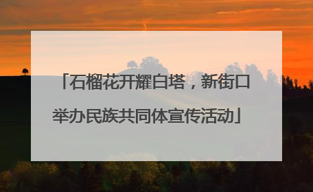 石榴花开耀白塔，新街口举办民族共同体宣传活动