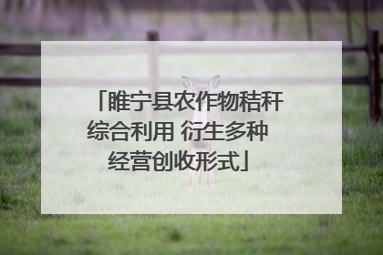 睢宁县农作物秸秆综合利用 衍生多种经营创收形式