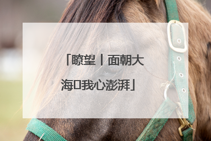 瞭望丨面朝大海 我心澎湃