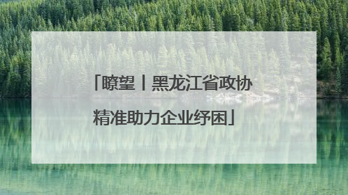 瞭望丨黑龙江省政协精准助力企业纾困