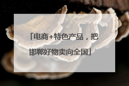 电商+特色产品，把邯郸好物卖向全国