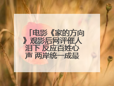 电影《家的方向》观影后网评催人泪下 反应百姓心声 两岸统一成最强音！