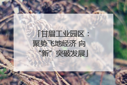 甘眉工业园区：聚势飞地经济 向“新”突破发展