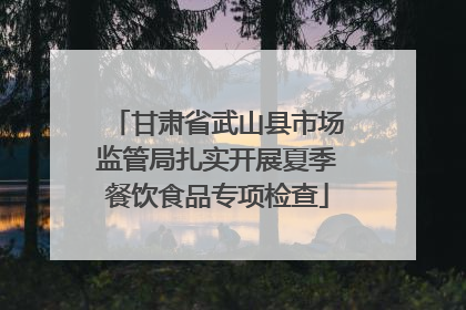 甘肃省武山县市场监管局扎实开展夏季餐饮食品专项检查