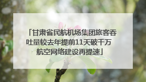 甘肃省民航机场集团旅客吞吐量较去年提前11天破千万 航空网络建设再提速