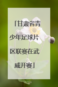 甘肃省青少年足球片区联赛在武威开赛