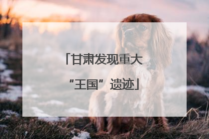 甘肃发现重大“王国”遗迹