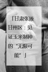 甘肃张掖甘州区：见证玉米制种的“无限可能”