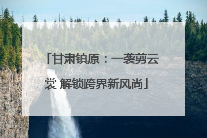 甘肃镇原：一袭剪云裳 解锁跨界新风尚