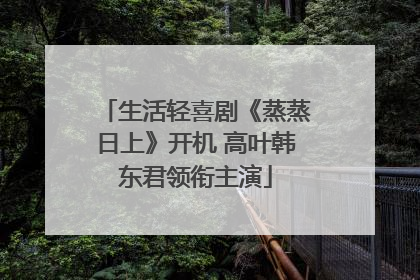 生活轻喜剧《蒸蒸日上》开机 高叶韩东君领衔主演