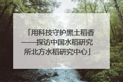 用科技守护黑土稻香——探访中国水稻研究所北方水稻研究中心