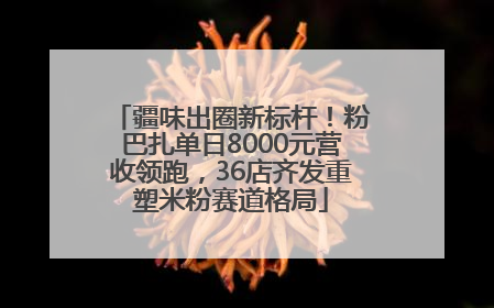 疆味出圈新标杆！粉巴扎单日8000元营收领跑，36店齐发重塑米粉赛道格局