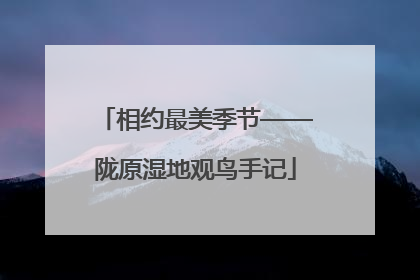 相约最美季节——陇原湿地观鸟手记
