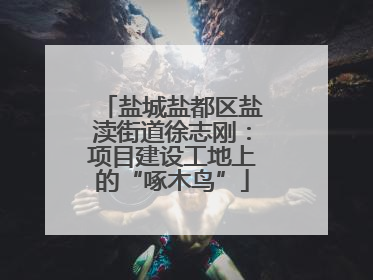 盐城盐都区盐渎街道徐志刚：项目建设工地上的“啄木鸟”