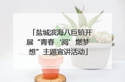 盐城滨海八巨镇开展“青春‘阅’燃梦想”主题宣讲活动