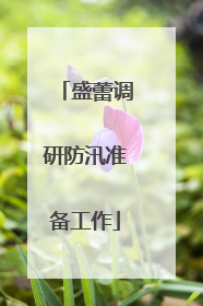 盛蕾调研防汛准备工作