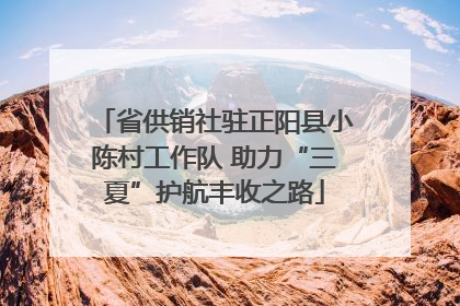 省供销社驻正阳县小陈村工作队 助力“三夏”护航丰收之路