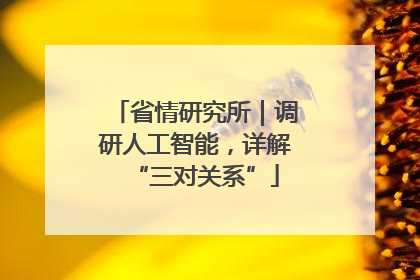 省情研究所｜调研人工智能，详解“三对关系”