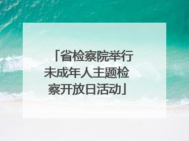 省检察院举行未成年人主题检察开放日活动