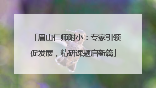 眉山仁师附小：专家引领促发展，精研课题启新篇