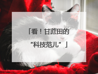 看！甘蔗田的“科技范儿”