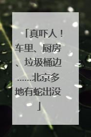 真吓人！车里、厨房、垃圾桶边……北京多地有蛇出没