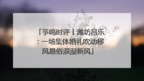 筝鸣时评丨潍坊昌乐：一场集体婚礼吹动移风易俗浪漫新风