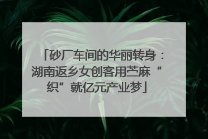 砂厂车间的华丽转身：湖南返乡女创客用苎麻“织”就亿元产业梦