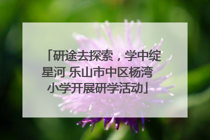 研途去探索，学中绽星河 乐山市中区杨湾小学开展研学活动