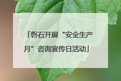 磐石开展“安全生产月”咨询宣传日活动