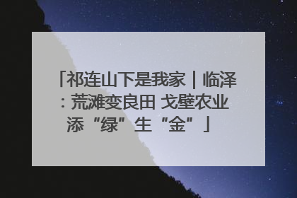 祁连山下是我家｜临泽：荒滩变良田 戈壁农业添“绿”生“金”