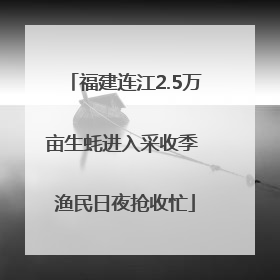 福建连江2.5万亩生蚝进入采收季 渔民日夜抢收忙