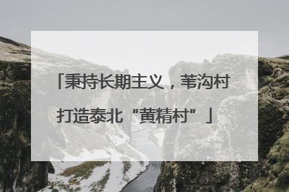 秉持长期主义，苇沟村打造泰北“黄精村”