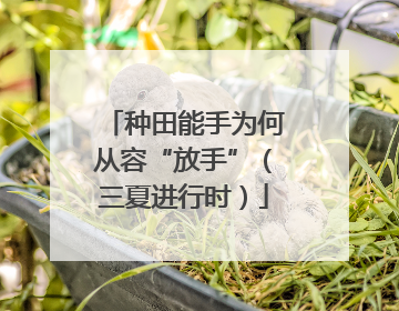 种田能手为何从容“放手”（三夏进行时）