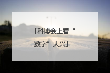 科博会上看“数字”大兴