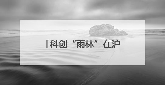 科创“雨林”在沪茁壮生长，“硬核”成果吸引全球目光