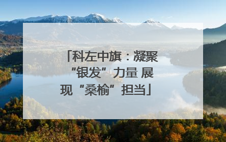 科左中旗：凝聚“银发”力量 展现“桑榆”担当