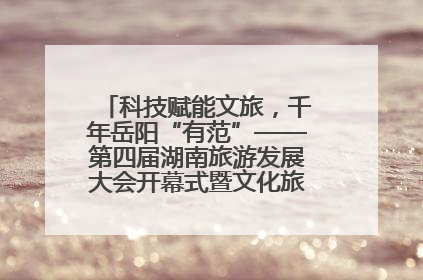 科技赋能文旅，千年岳阳“有范”——第四届湖南旅游发展大会开幕式暨文化旅游推介会侧记