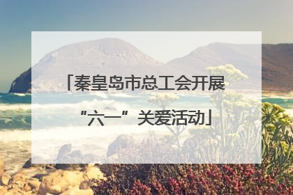 秦皇岛市总工会开展“六一”关爱活动