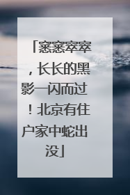 窸窸窣窣，长长的黑影一闪而过！北京有住户家中蛇出没
