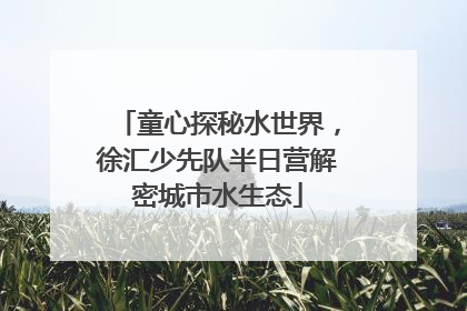 童心探秘水世界，徐汇少先队半日营解密城市水生态